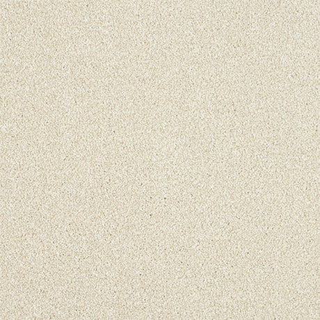 Maximus Carpet