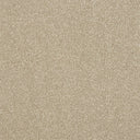 Maximus Carpet