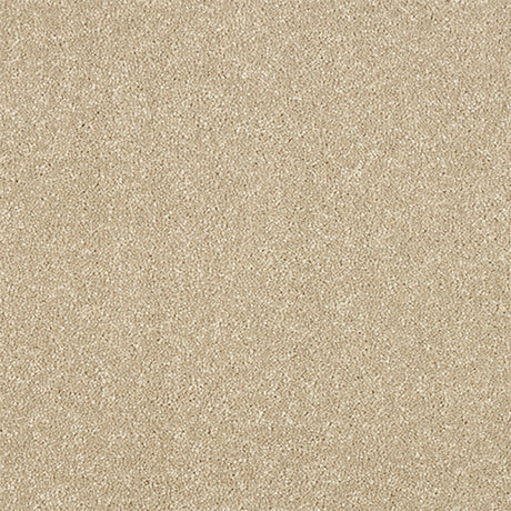 Maximus Carpet