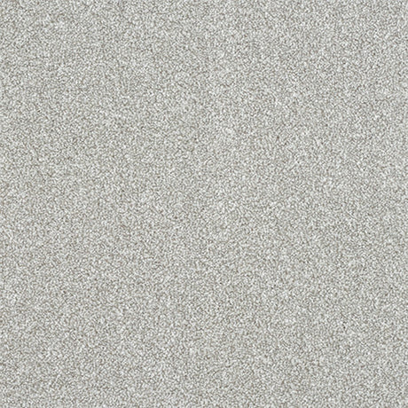 Maximus Carpet