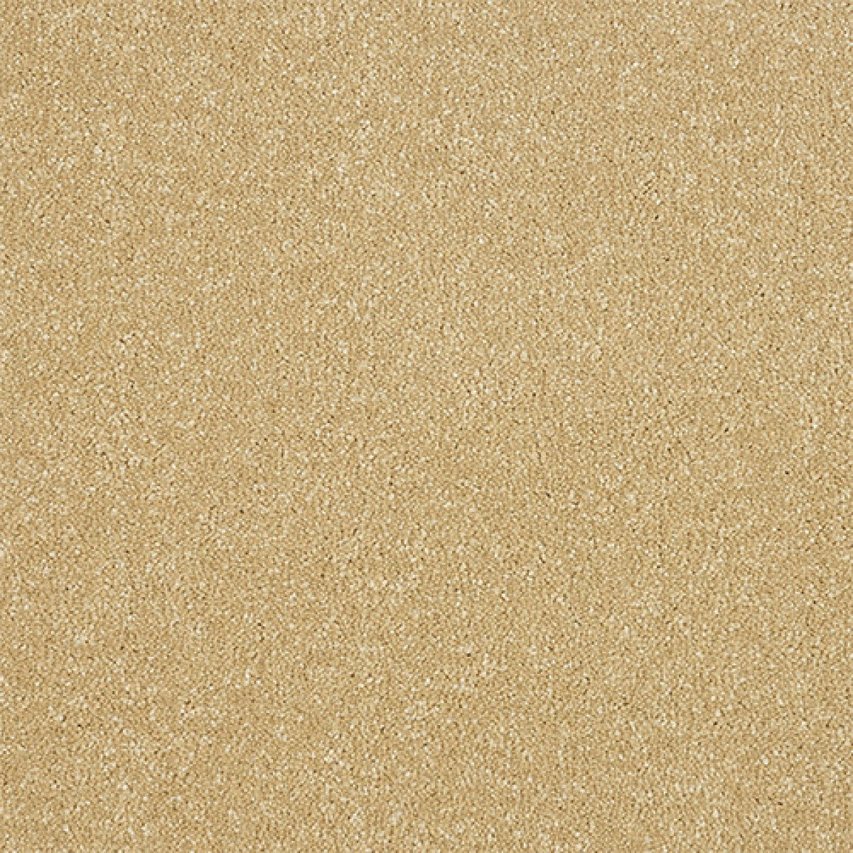 Maximus Carpet
