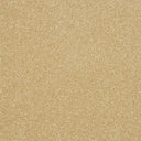 Maximus Carpet