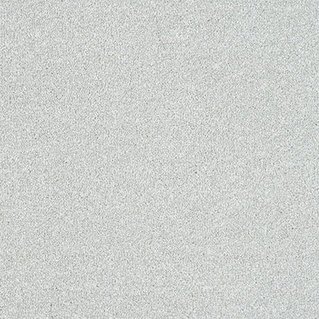 Maximus Carpet