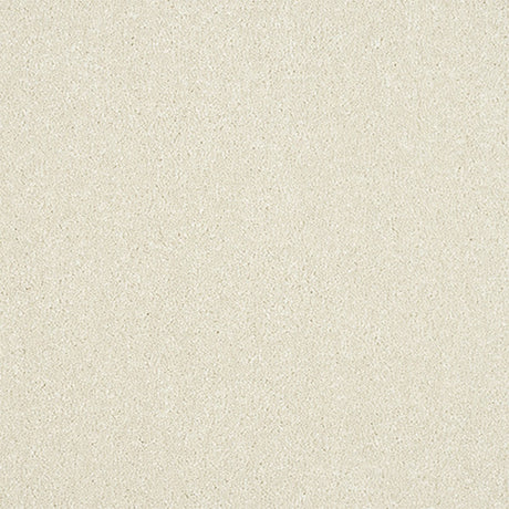 Maximus Carpet