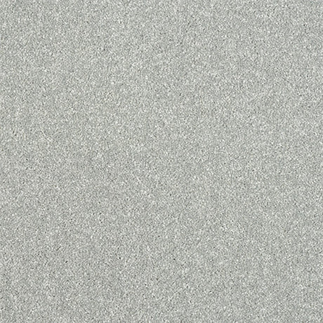 Maximus Carpet