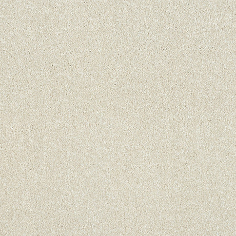 Maximus Carpet