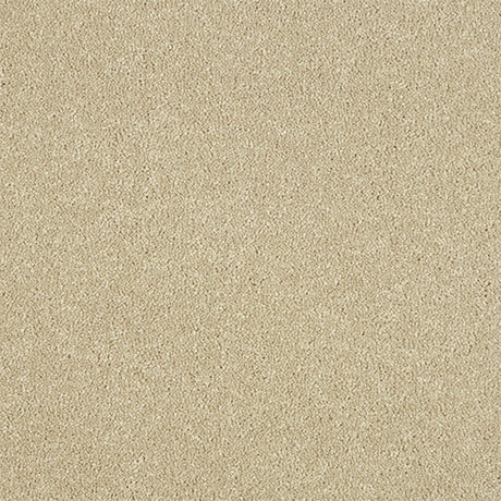 Maximus Carpet