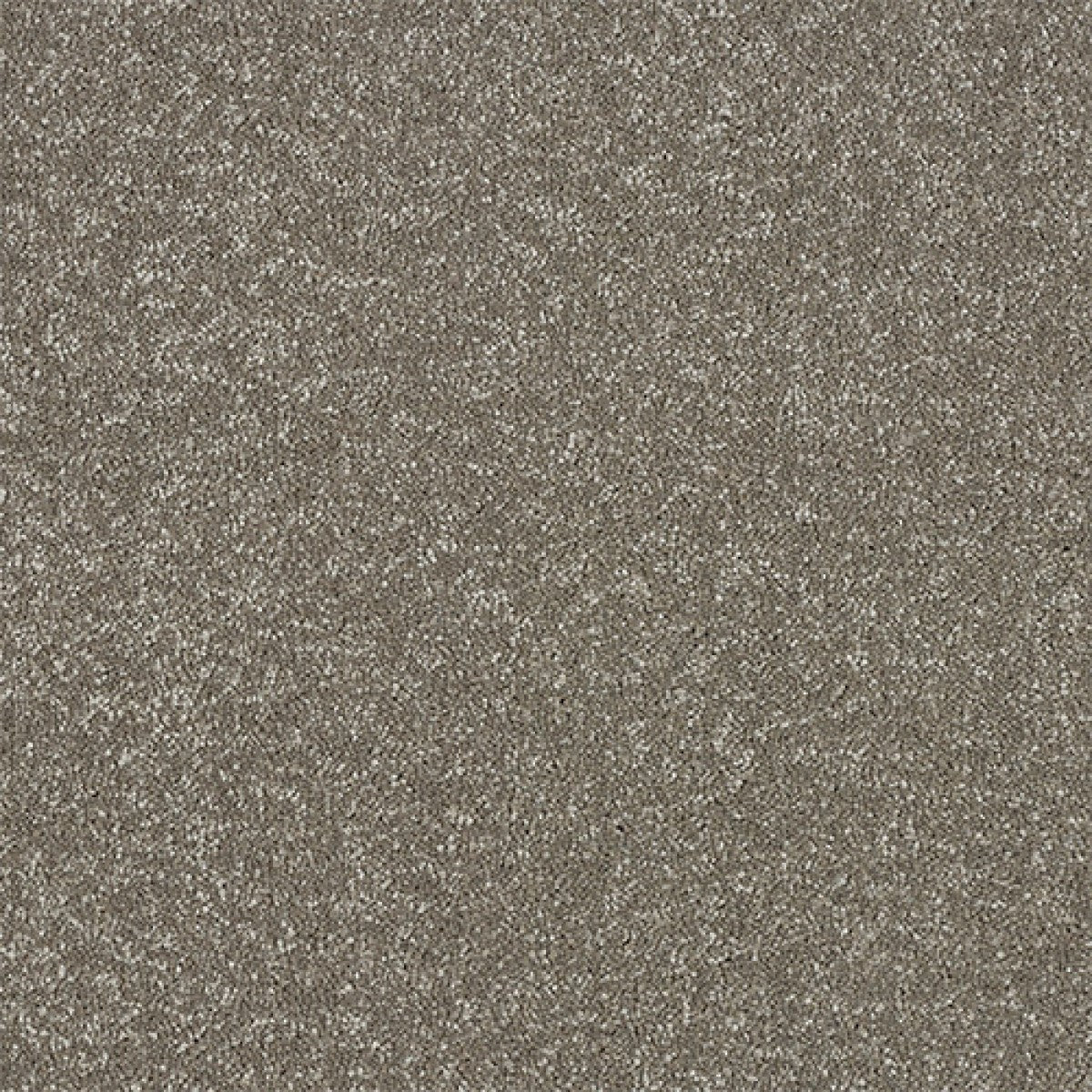 Maximus Carpet