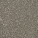 Maximus Carpet