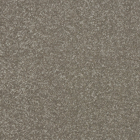 Maximus Carpet