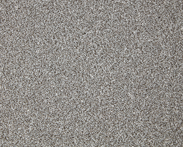 Primo Grande Carpet