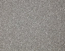 Primo Grande Carpet