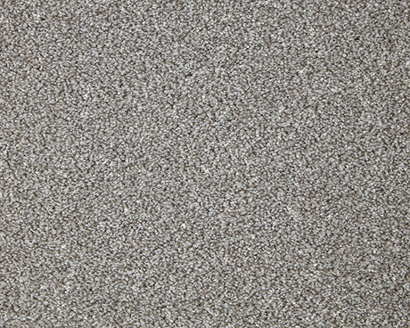 Primo Grande Carpet