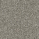 Apollo Plus Carpet