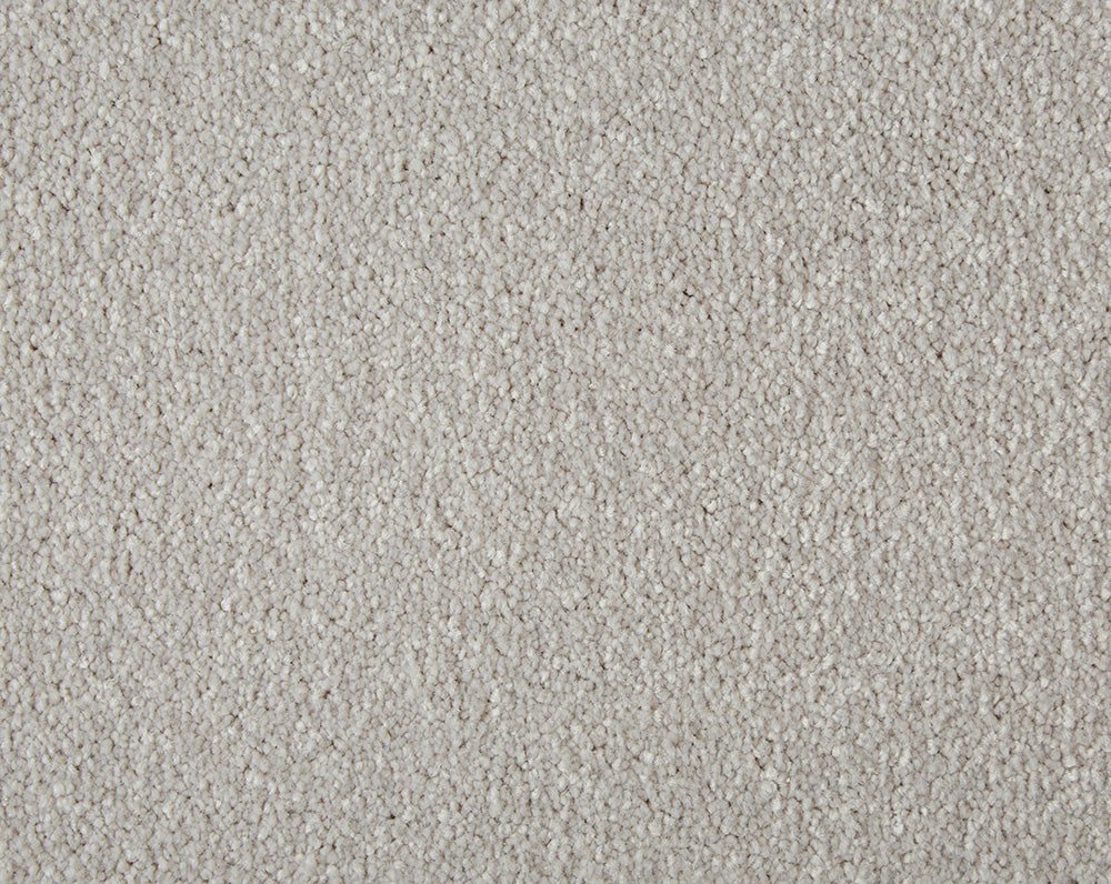 Primo Plus Carpet