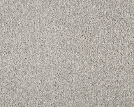 Primo Plus Carpet