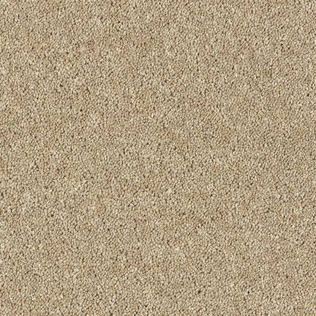 Royal Charter Deluxe Carpet