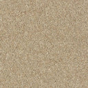 Royal Charter Deluxe Carpet