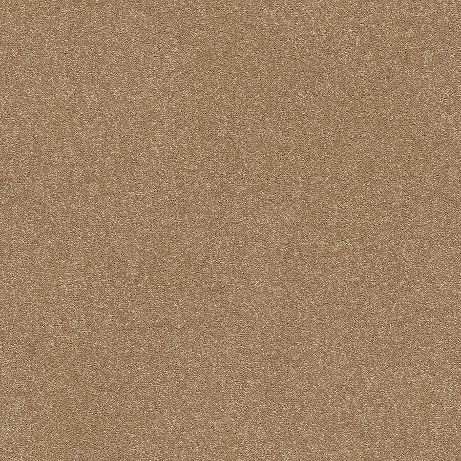Stainfree Twist Carpet