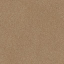 Stainfree Twist Carpet