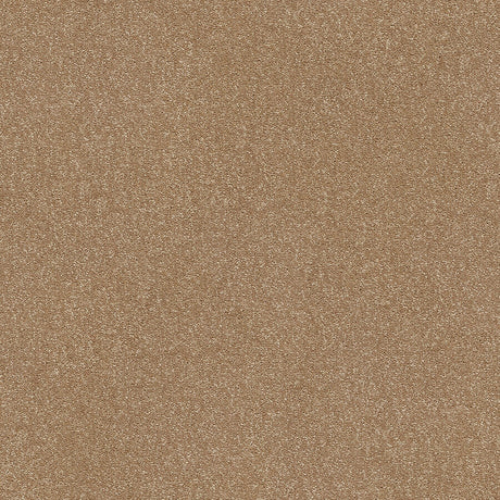 Stainfree Twist Carpet