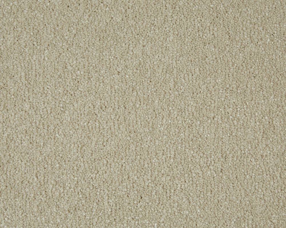 Sensation Carpet