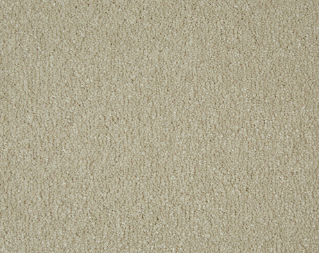 Sensation Carpet