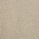 Captivation Carpet