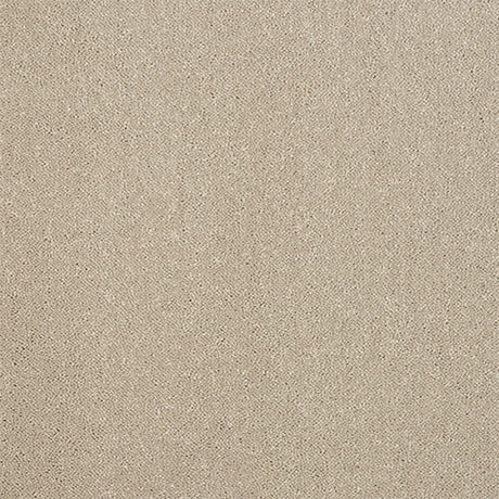 Captivation Carpet