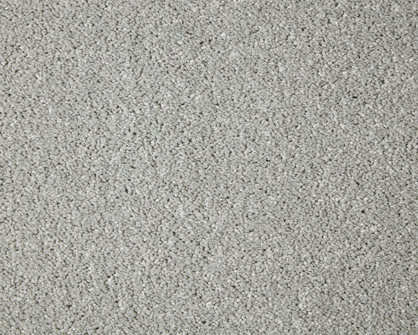 Primo Grande Carpet