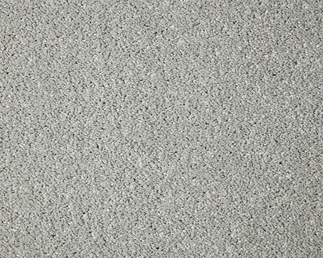 Primo Grande Carpet