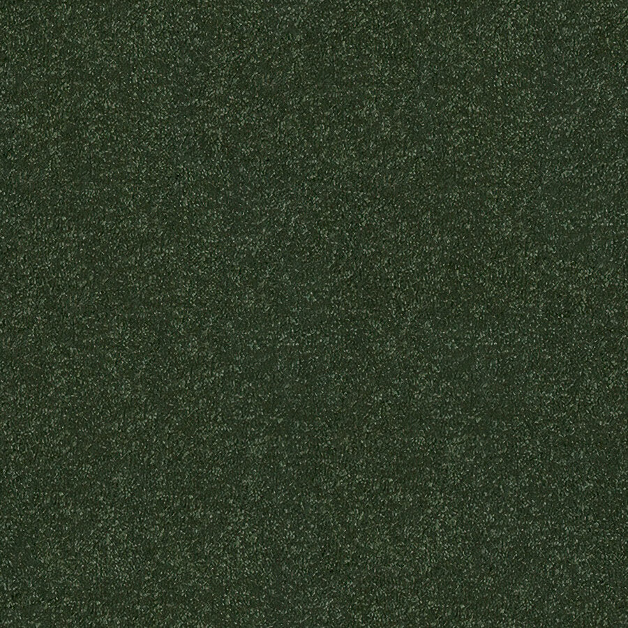 Stainfree Ultra Carpet