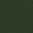 Stainfree Ultra Carpet