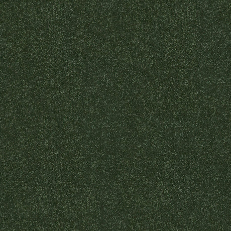 Stainfree Ultra Carpet