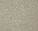 Sensation Carpet