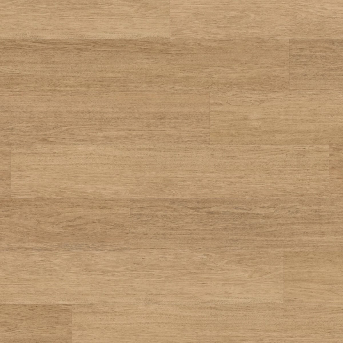 Karndean Knight Tile Gluedown Natural Studio Oak KP151
