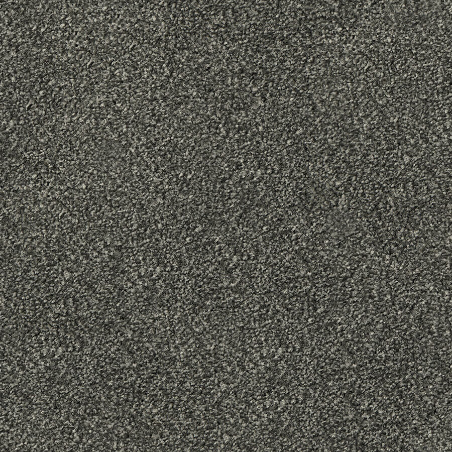 Apollo Plus Carpet