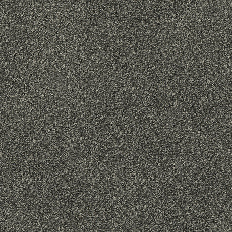 Apollo Plus Carpet