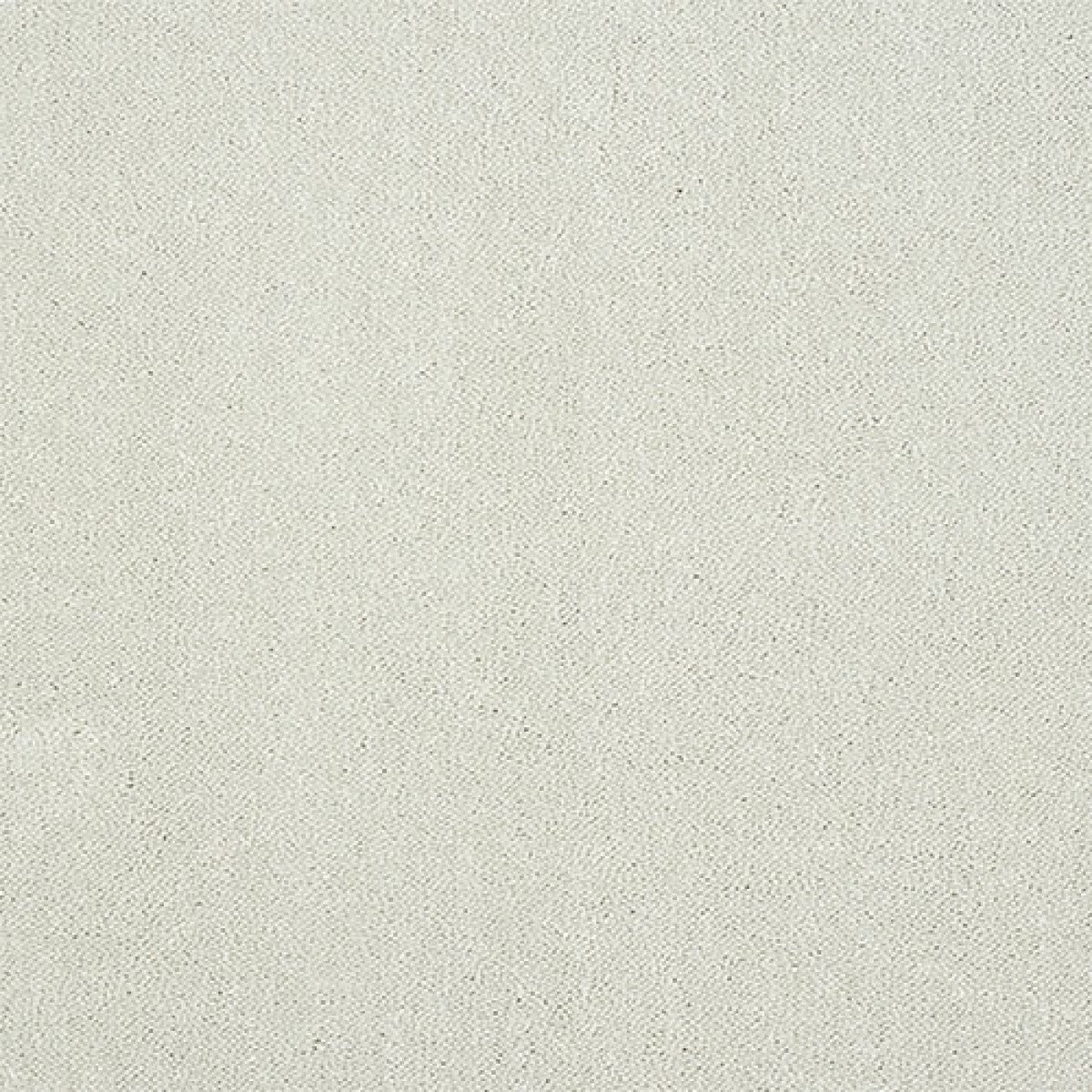 Captivation Carpet
