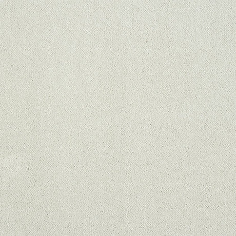 Captivation Carpet