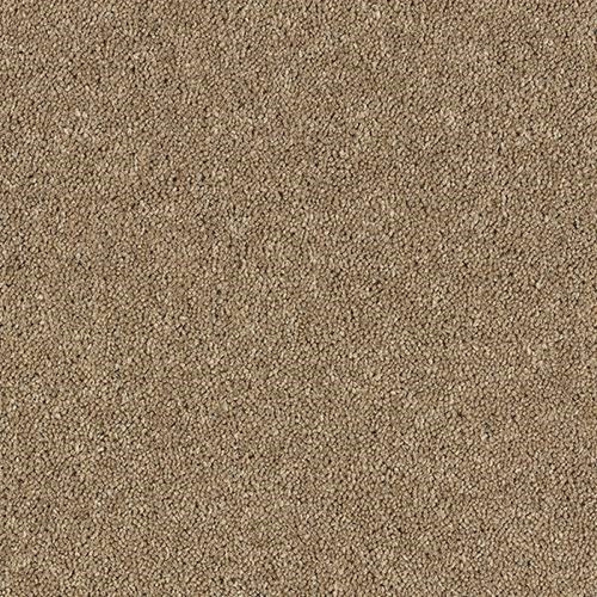 Royal Charter Deluxe Carpet