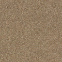 Royal Charter Deluxe Carpet
