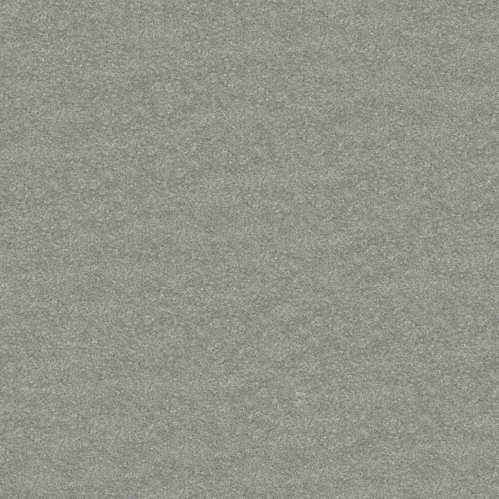 Obsession Carpet