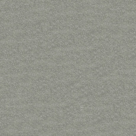Obsession Carpet