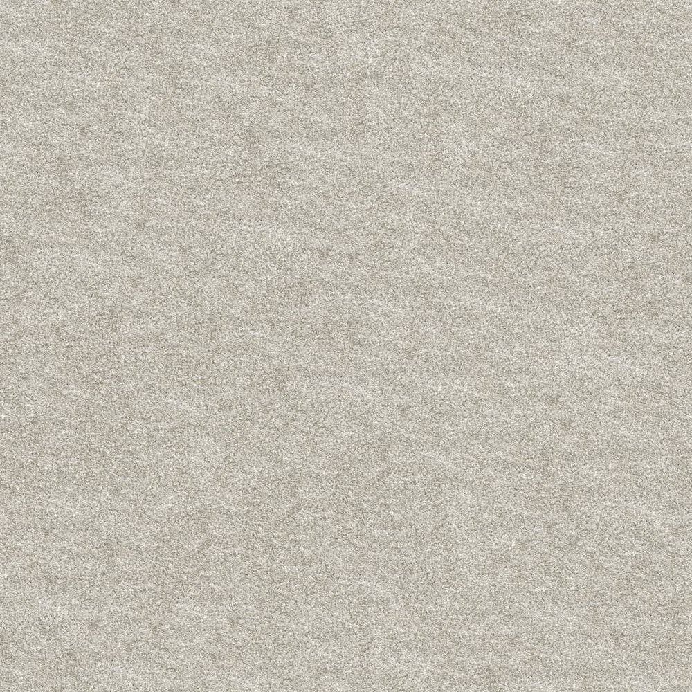 Obsession Carpet