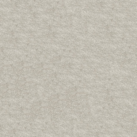 Obsession Carpet