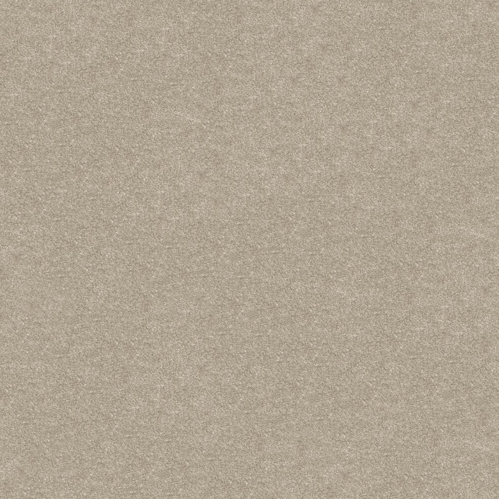Obsession Carpet