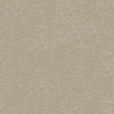 Obsession Carpet