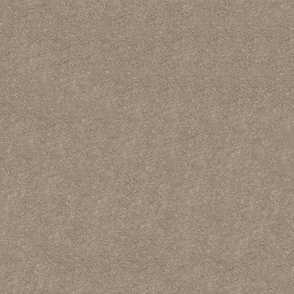 Obsession Carpet
