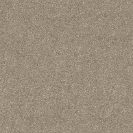 Obsession Carpet